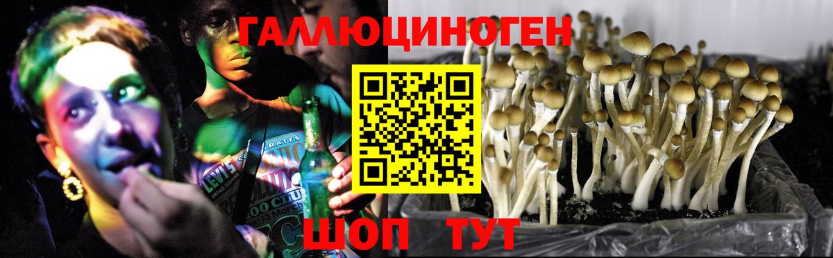 Галлюциногенные грибы MAGIC MUSHROOMS  Галлюциногенные грибы Cubensis  Вход с VPN  Осинники 